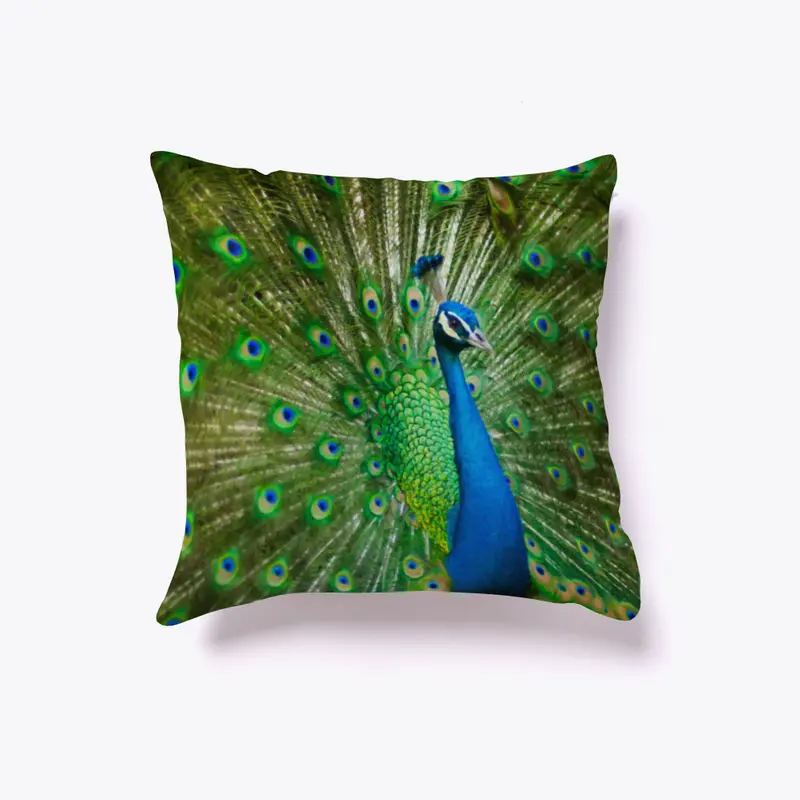 Elegant Painted Peacock Accent Pillow